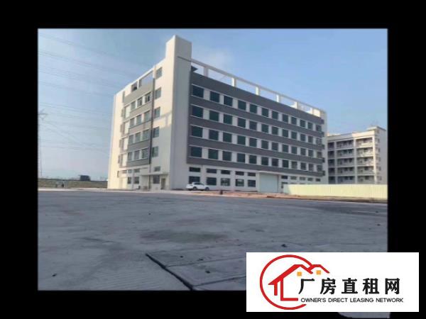  独门独院，全新工业厂房。
