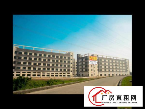  独门独院，全新工业厂房。
