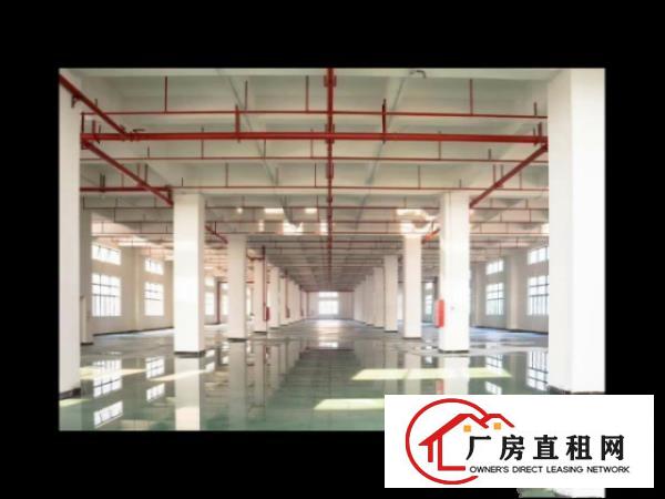  独门独院，全新工业厂房。