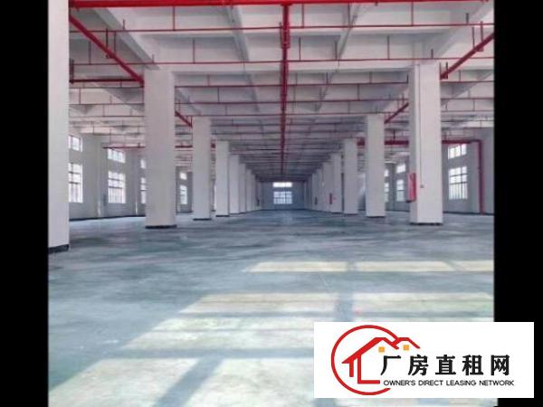  独门独院，全新工业厂房。