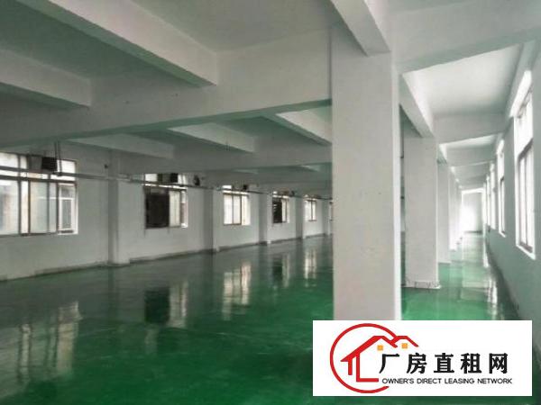  独门独院，全新工业厂房。