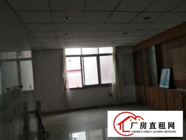  独门独院，全新工业厂房。