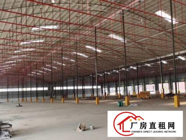  物流仓，自动卸货平台，证件齐全