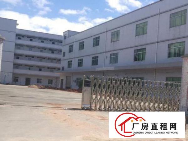  常平自有单一层，标准厂房，任意分租