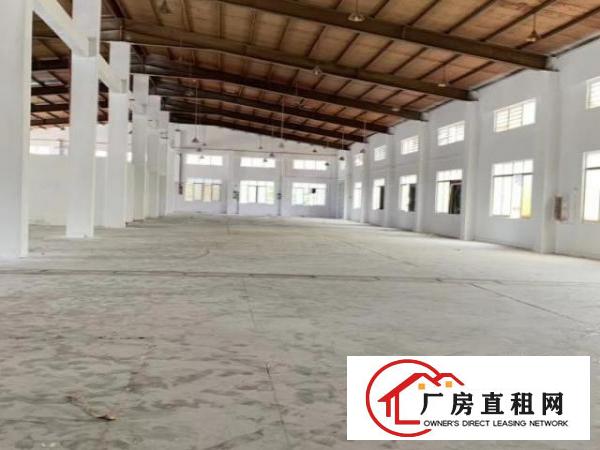  常平自有单一层，标准厂房，任意分租