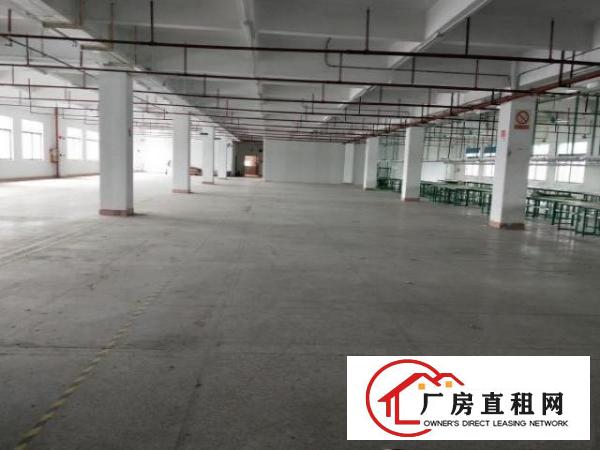  常平原房东自有厂房，大小任意分租