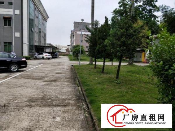  常平原房东自有厂房，大小任意分租