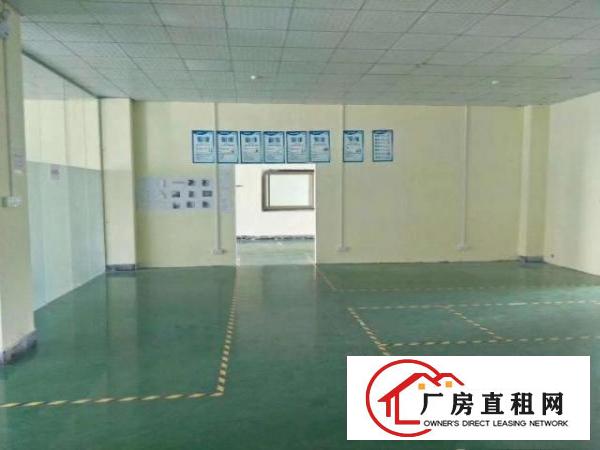  新出楼上精装带办公室500平！