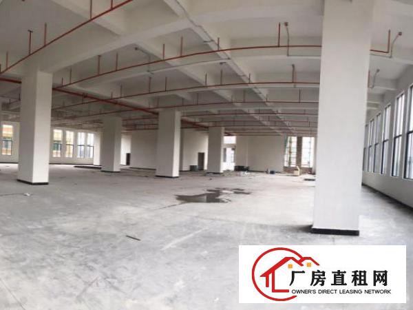  (全新厂房)原房东智能产业园厂房多户型出租可环评