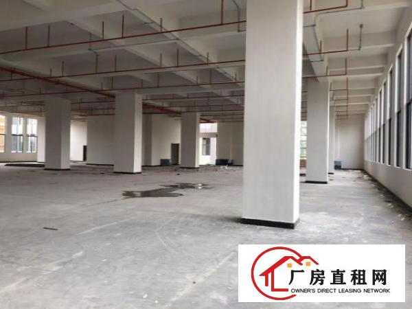  (全新厂房)原房东智能产业园厂房多户型出租可环评