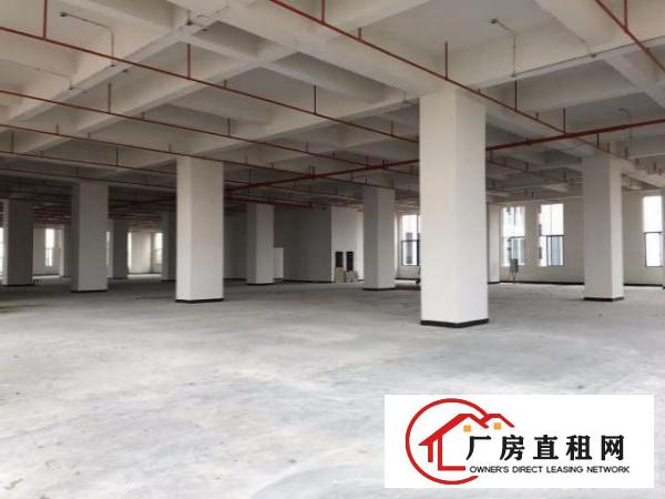  (全新厂房)原房东智能产业园厂房多户型出租可环评