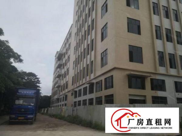  常平新出全新明包标准厂房32500平方证件齐全