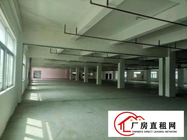  原房东工业园区标准工业厂房出租