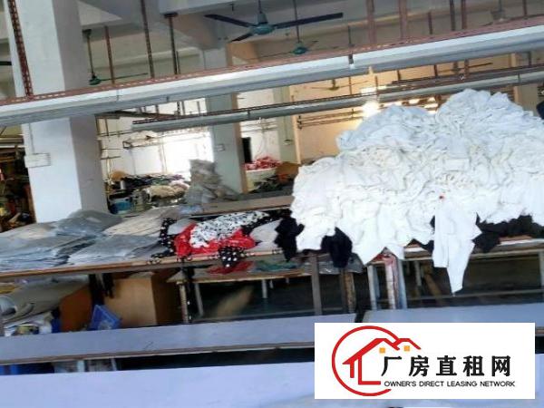  便宜好厂房出租或合租