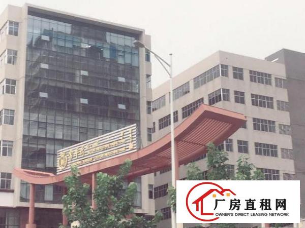  非中介出租常平两层标准工业厂房