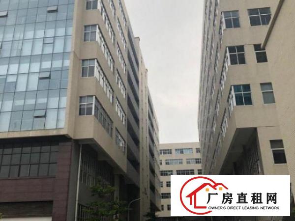 非中介出租常平两层标准工业厂房