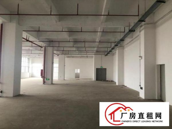  非中介出租常平两层标准工业厂房