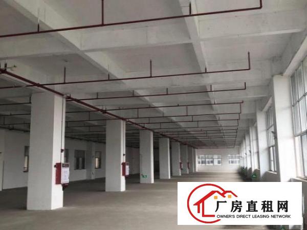  非中介出租常平两层标准工业厂房