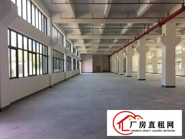  出租常平标准厂房1000平2000平3000平可大小面积分租