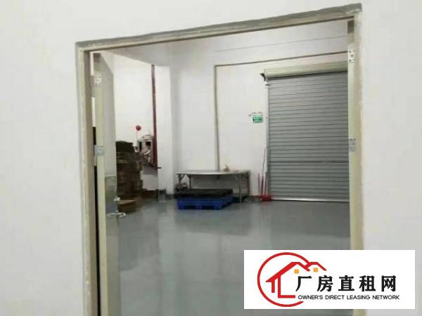  出租常平袁山贝300平方厂房，现成装修，拎包办公
