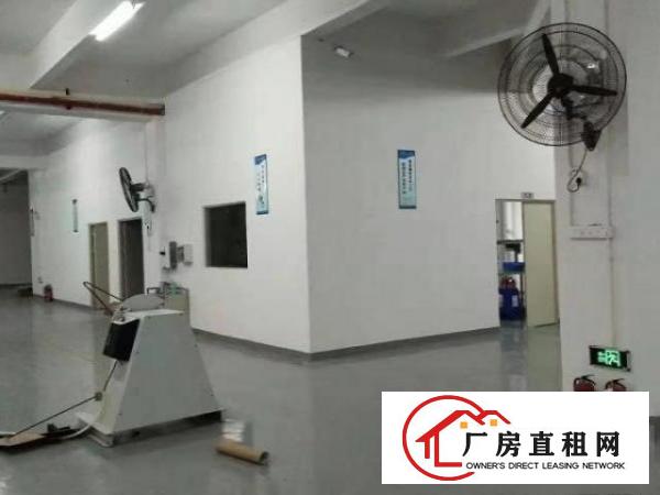  出租常平袁山贝300平方厂房，现成装修，拎包办公