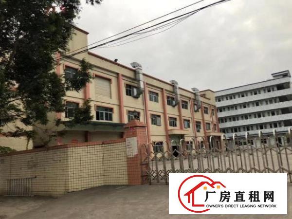  价格实惠标准厂房交通便利面积实在