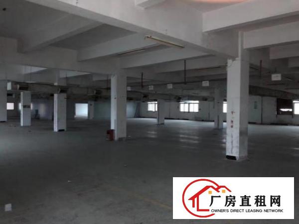  价格实惠标准厂房交通便利面积实在