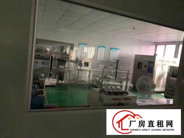 自有厂房2000平方出租，可以分租