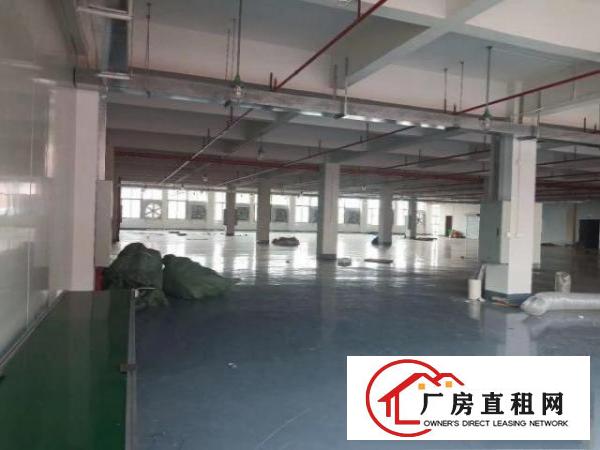  “可分租”临近主干道空地超大价格实惠