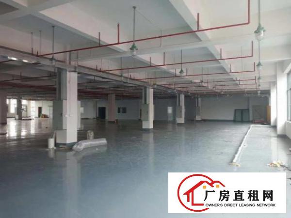  “可分租”临近主干道空地超大价格实惠