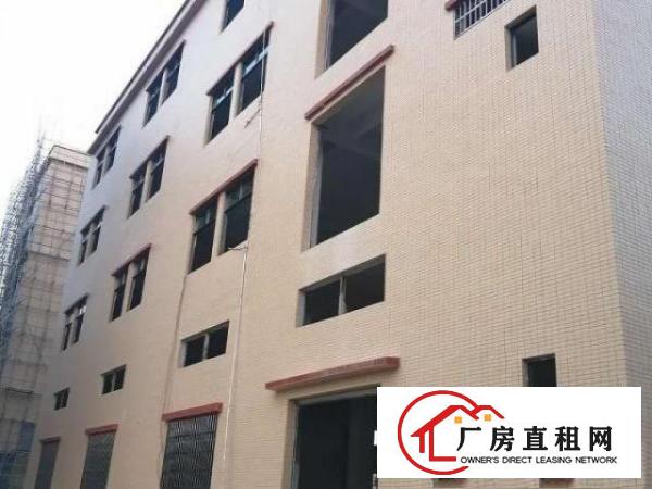  四面采光、通风、新建，货车出人方便