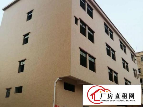  四面采光、通风、新建，货车出人方便