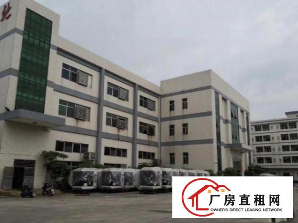  出租常平大量标准厂房300平500平4000平等可大小分租