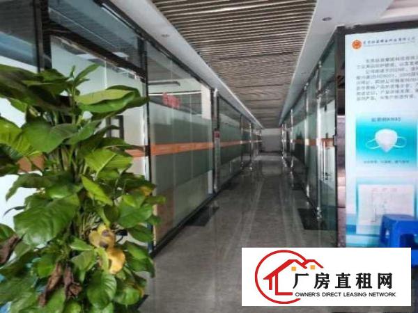  全新无尘车间出租，带地坪漆，空调，风淋室，水电安装到位