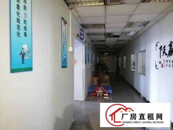  全新无尘车间出租，带地坪漆，空调，风淋室，水电安装到位