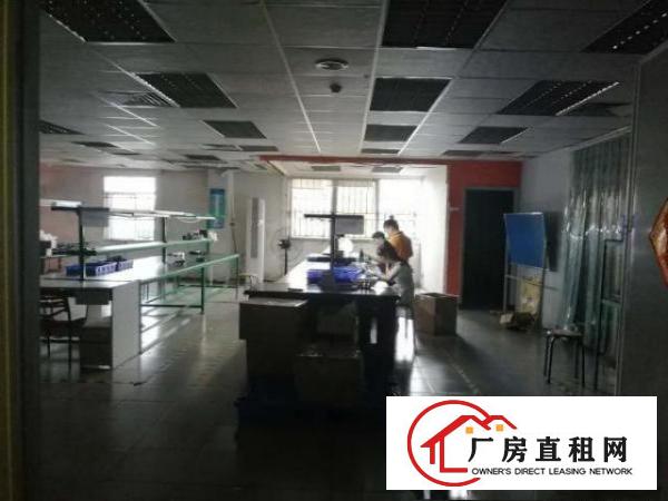  全新无尘车间出租，带地坪漆，空调，风淋室，水电安装到位