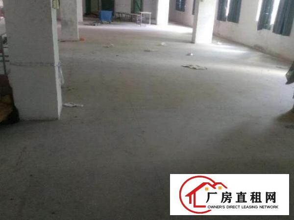  电梯1200平可小面积分租7.4元厂房出租整栋出租