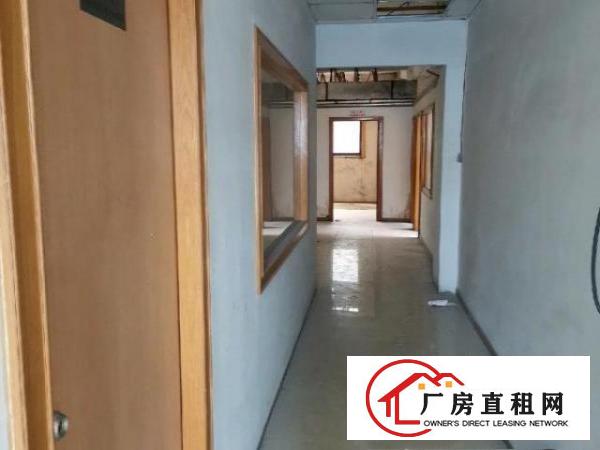  常平镇新出标准超大空地独院厂房10888平出租