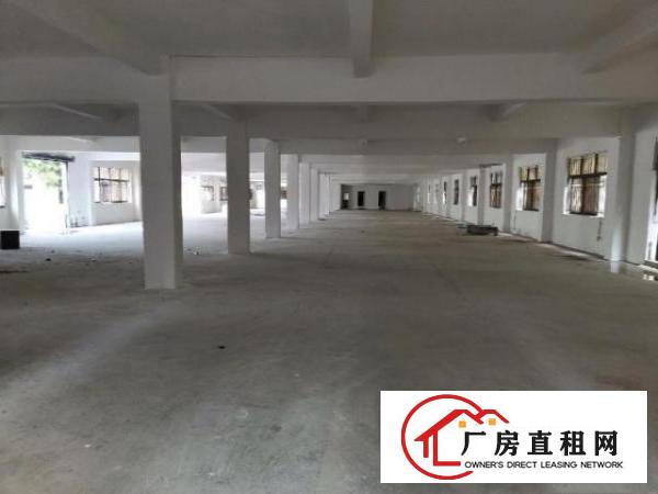  常平镇新出标准超大空地独院厂房10888平出租