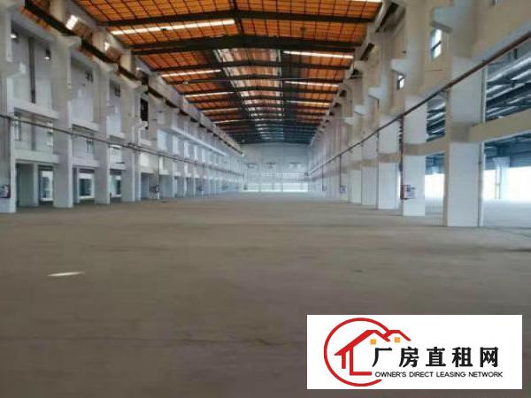  出租常平大量原房东仓库钢构厂房500平1500平10000平