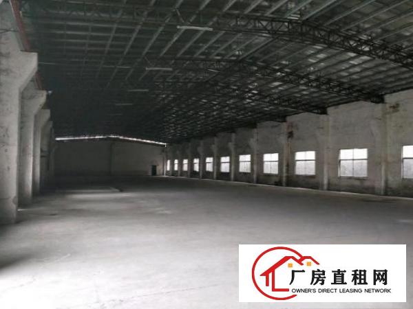  袁山贝空出独门独院厂房3000平米，中间无柱子，利用率超大