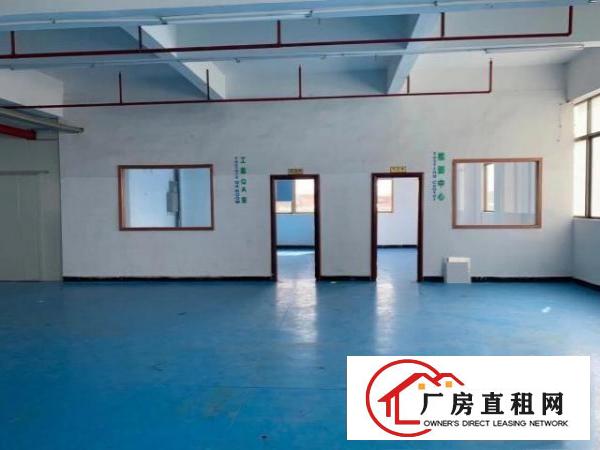  东莞市常平镇原房东出租独院标准厂房二楼1200平方带全新装修