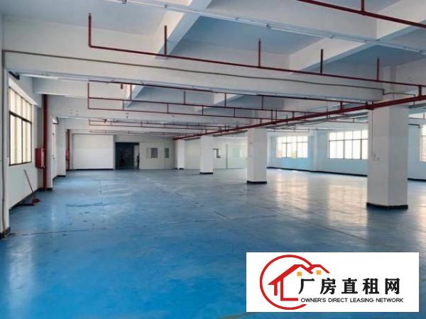  东莞市常平镇原房东出租独院标准厂房二楼1200平方带全新装修