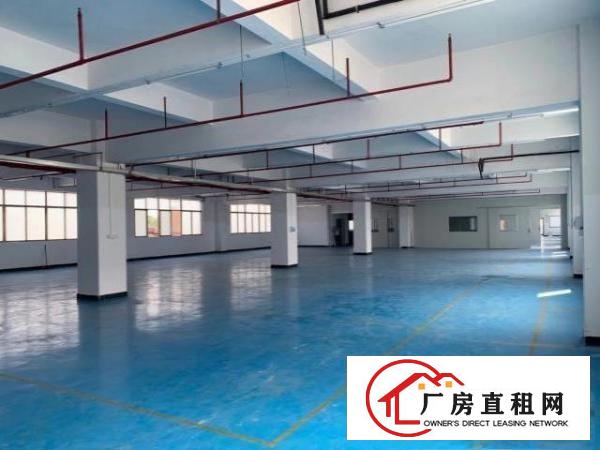  东莞市常平镇原房东出租独院标准厂房二楼1200平方带全新装修