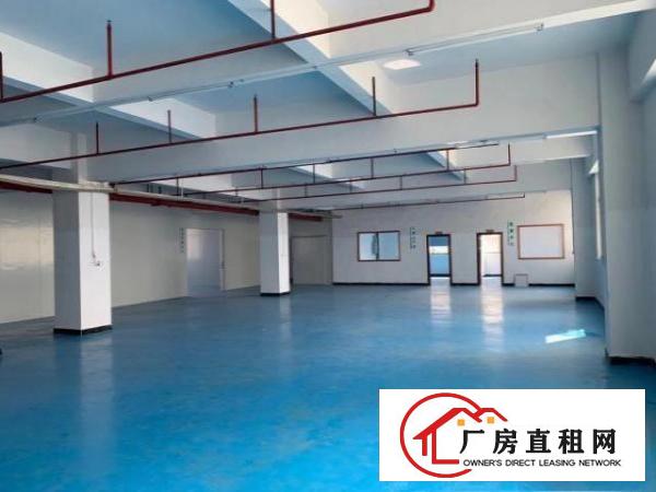  东莞市常平镇原房东出租独院标准厂房二楼1200平方带全新装修