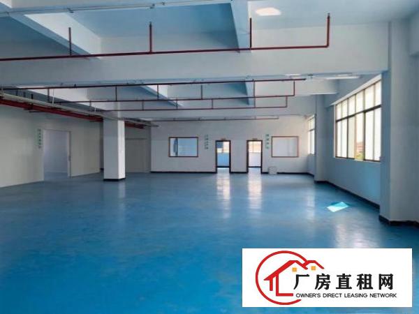  东莞市常平镇原房东出租独院标准厂房二楼1200平方带全新装修