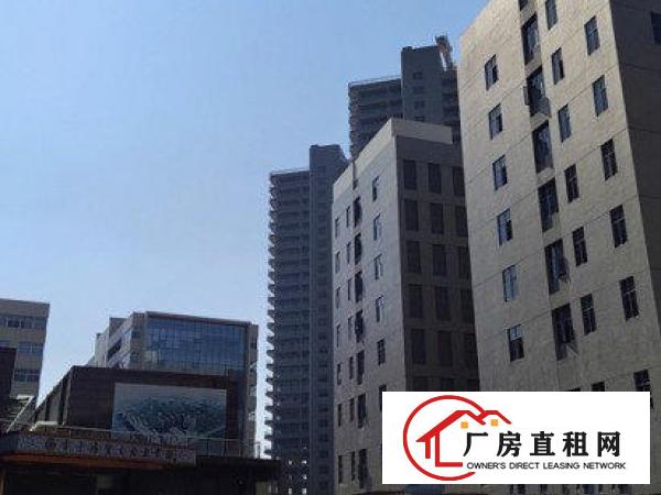  非中介招租常平全新工业标准厂房