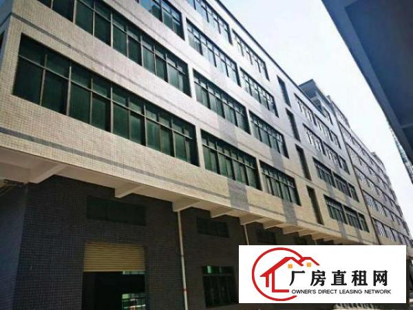  常平镇靠谢岗樟木头200-1200大小可分