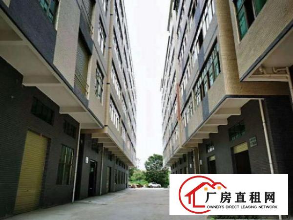  常平镇靠谢岗樟木头200-1200大小可分