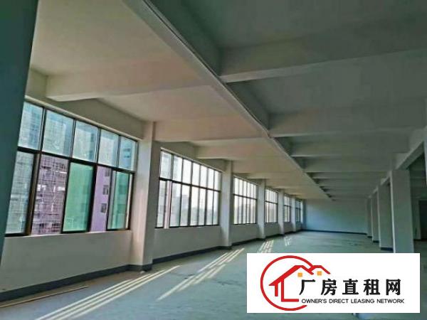  常平镇靠谢岗樟木头200-1200大小可分
